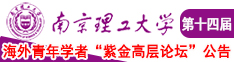 性爱网在线网站南京理工大学第十四届海外青年学者紫金论坛诚邀海内外英才！